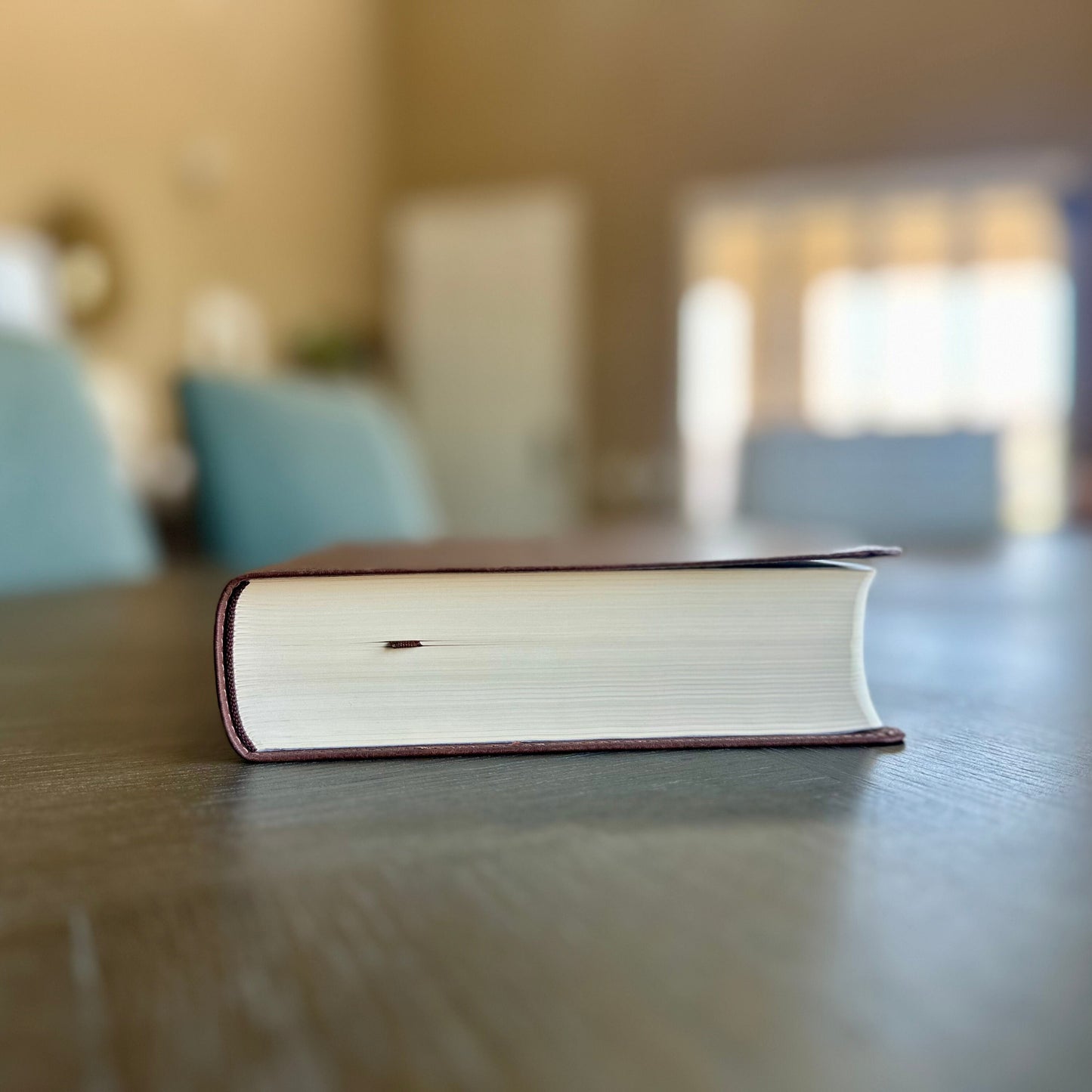 Personalized New International Version (NIV) Journal the Word® Bible - Engraved