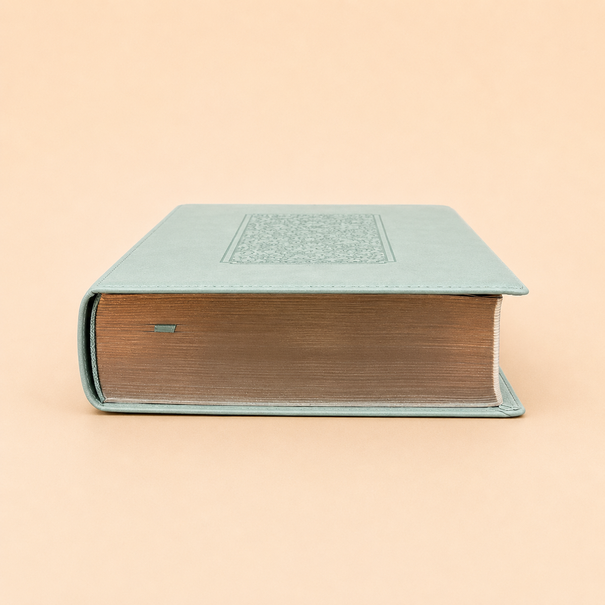 Personalized New Living Translation (NLT) Bible - Engraved
