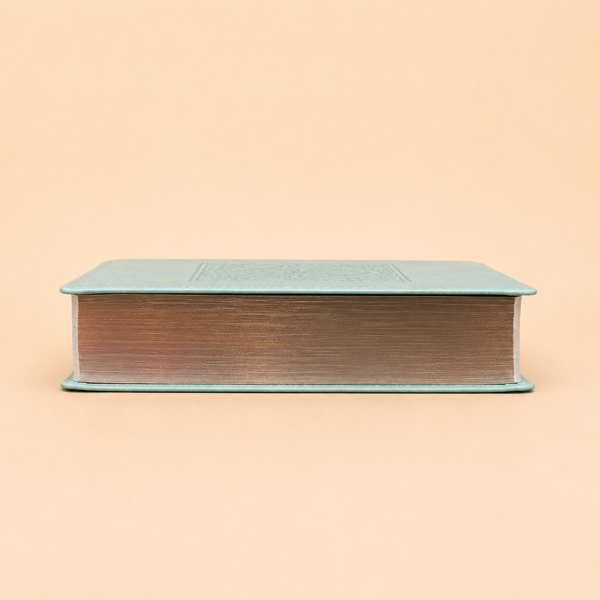 Personalized New Living Translation (NLT) Bible - Engraved