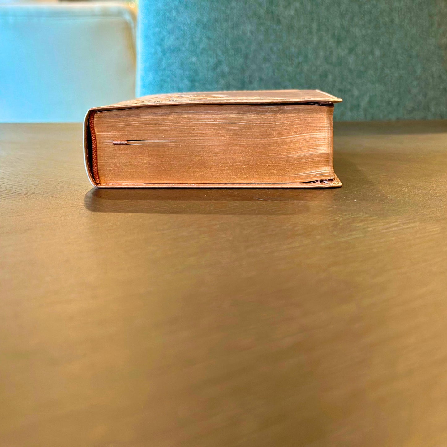 Personalized Compact New Living Translation (NLT) Bible - Engraved